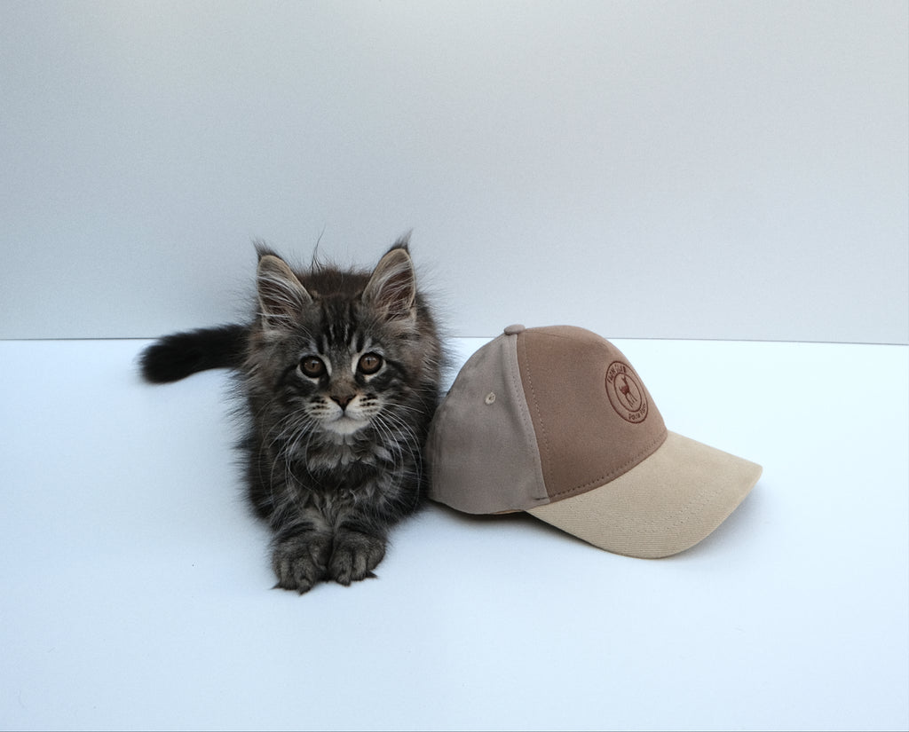 Casquette FAON CLUB